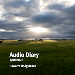 Audio Diary