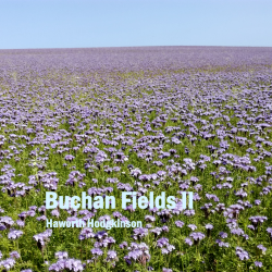 Buchan Fields II